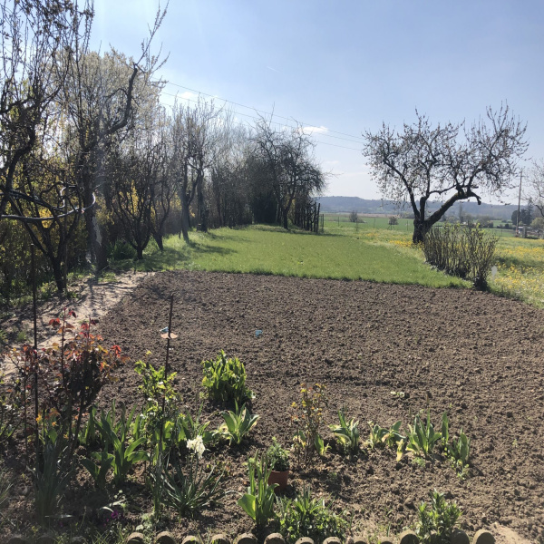 Offres de vente Terrain Lézigné 49430