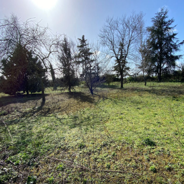 Offres de vente Terrain Seiches-sur-le-Loir 49140